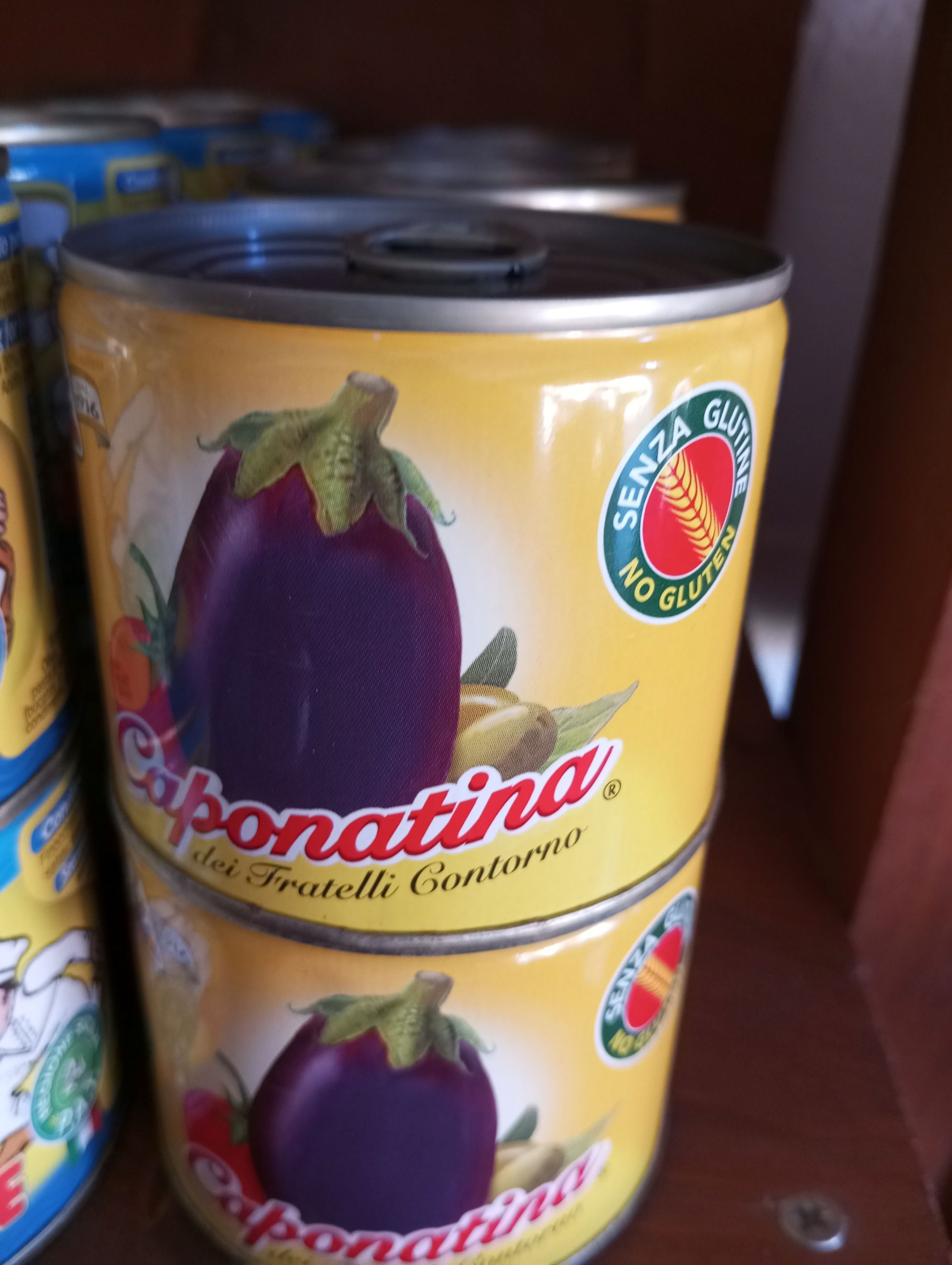 a picture of latta di caponatina